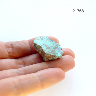 Бирюза натуральная (горбушка) Казахстан арт.21758: 5,9г - 26*19*10мм