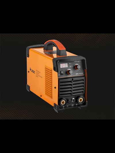 REAL TIG 200 (W223)