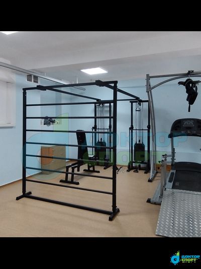 "Биотонус-2" 75/100 кг со шведской стенкой