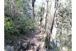 Чернореченский каньон, река Черная