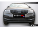 Premium защита радиатора для Skoda Karoq (2017-2021)