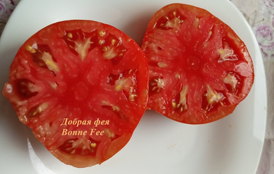 Томат Добрая Фея (Bonne Fee , Франция)