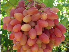 Преображение