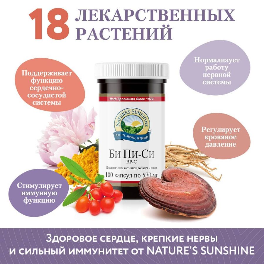 БАД Би Пи-Си компании НСП 