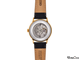 Мужские часы Orient RA-AK0002S10B