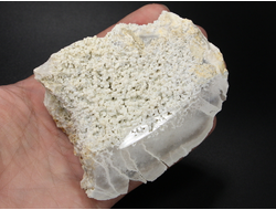 Халцедон виноградный, срез полированный, Россия, Северный Кавказ, КЧР, Усть-Джегутинский район (90*72*42 мм, 274 г) №27452