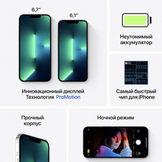 Apple iPhone 13 Pro Max 256GB (серебристый)