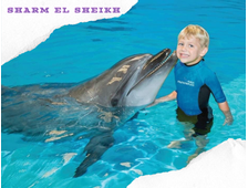 DOLPHINARIUM IN SHARM EL SHEIKH - SWIMMING WITH DOLPHINS