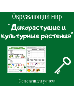 Рабочий лист. 2 класс. "Дикорастущие и культурные растения"
