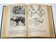 Соколов В. Е. Систематика млекопитающих. В 3 томах. Том 3. М.: Высшая школа. 1979г.