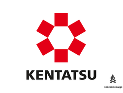 Пеллетные котлы KENTATSU