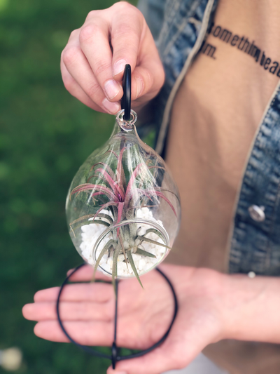 Флорариум Капелька Red