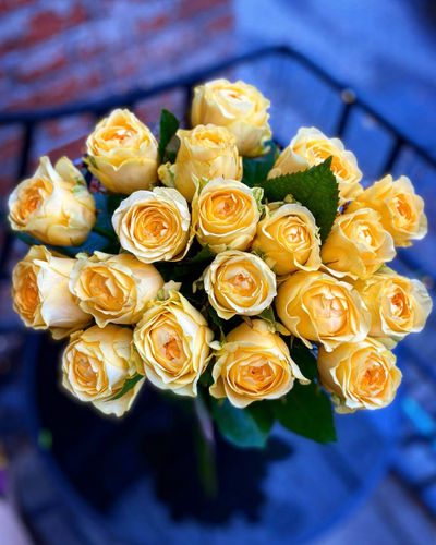 Роза Россия 50 см 19 шт