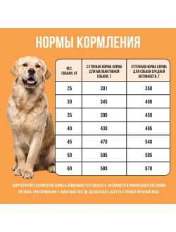 BOWL WOW (Боул Вау) корм сухой для собак крупных пород Индейка, Курица, Рис, Тыква, 2 кг