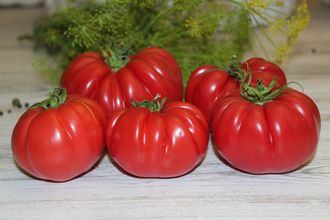 Gigante Farina (Гигант Фарина)