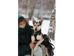 Гуччи