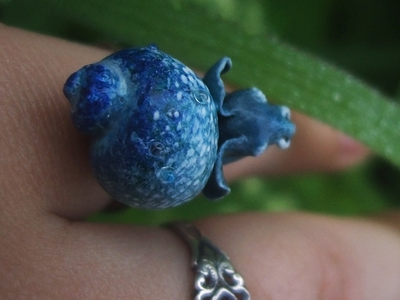 Волшебное колечко со Слоноулиткой