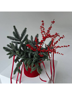 Композиция из нобилиса с илексом