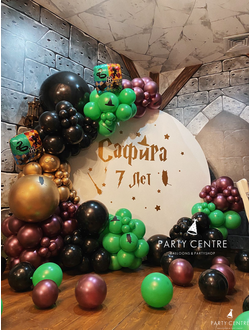 Фотозона Гарри Поттера "Сафира"