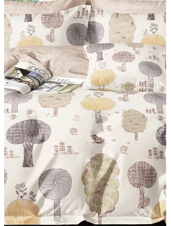 Постельное белье Cleo евро сатин 200х220х1 230х250х1 50х70х2+5см 70х70х2 31/866-SK