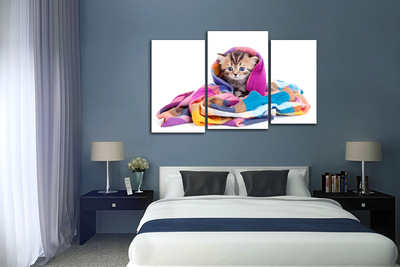 Модульная картина "Котенок в шали"