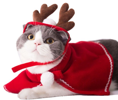 Рожки для собак и кошек