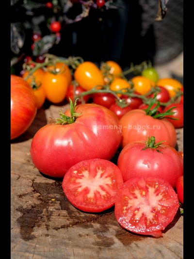 Томат Брендивайн Розовый (Brendywine Pink), 10 шт