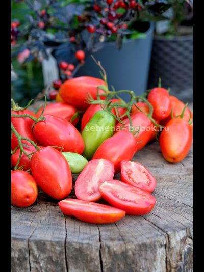 Томат Пальчики Мальвины, 10 шт