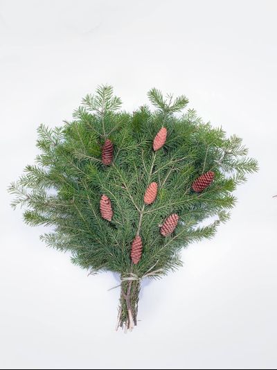 Лапник из пихты с шишками