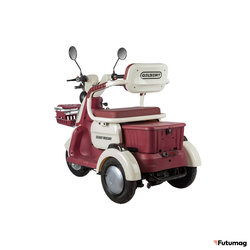 Электротрицикл Rutrike Gelbert Mercury 48V/60V 650Вт бело-красный