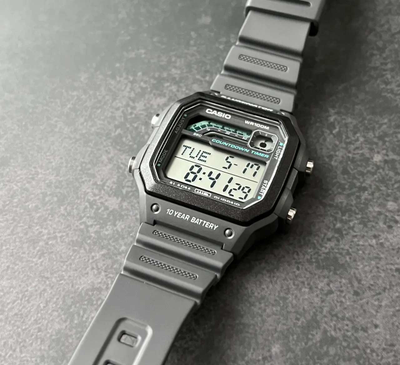 Часы Casio WS-1600H-8A