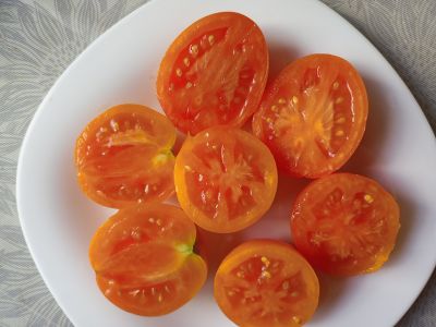 Томат Полтавская галушка