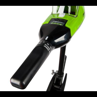 Лодочный мотор аккумуляторный Greenworks G40TM55