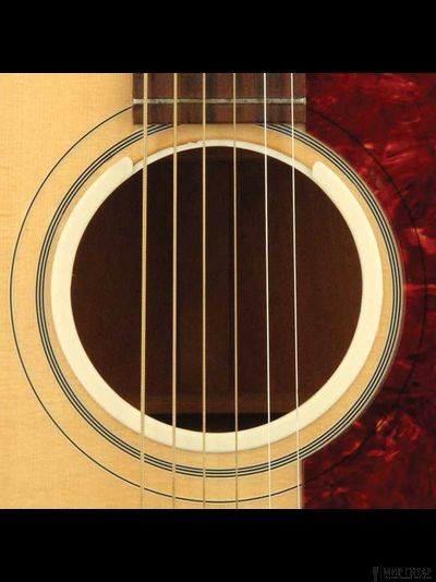 Planet Waves PW-OPWHL O-Port