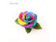 Брошь-заколка "Радужная роза".