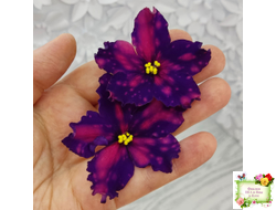 РС-Метагалактика (С. Репкина) 2018 г.