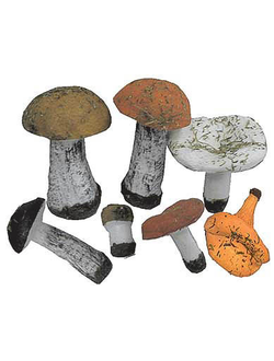 Набор муляжей грибов