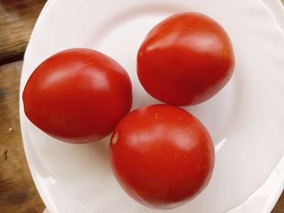 Томат Эм-чемпион