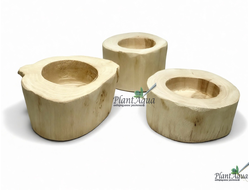 SwetAqua Driftwood Stump M - пенек из натурального дерева с глухим отверстием, 50 мм