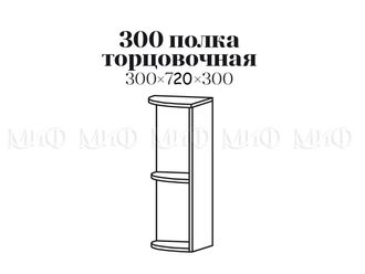 Шкаф верхний торц (ШВТ300)