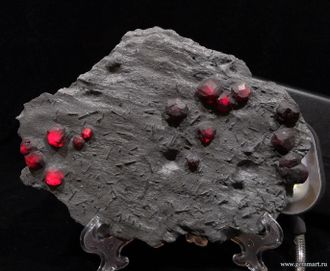 Гранат альмандин-пиропового ряда в графитовом сланце с кристаллами турмалина дравита. RedEmbers mine