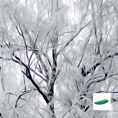 Постер «Белая зима» из коллекции «Зимушка-зима»