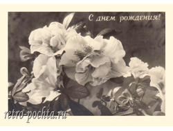 7013 ЛФК фото Р Мазелева 1955 г