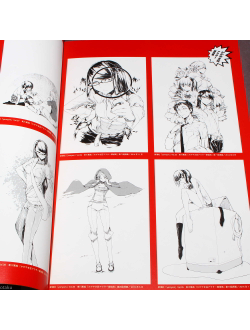 Оригинальный Арт Бук Shooting Star Dandyism side: Durarara (Дюрарара, Может, я встречу тебя в подземелье?)