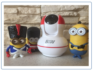 BW. Моторизированная видеокамера WiFi/LAN с DVR, HD (163Eye/Yoosee)