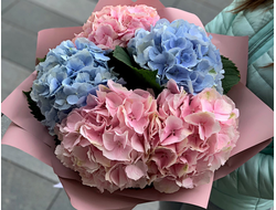 Букет из 5 Гортензий