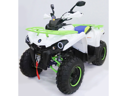 Купить Квадроцикл MOTAX ATV Grizlik 200 NEW