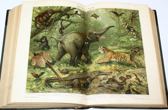 Большая энциклопедия. Том 5: Византия – Гадамес. Под редакцией С.Н. Южакова. СПб.: `Просвещение`, 1903.