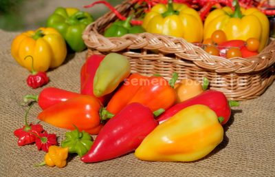 Перец сладкий Испанский Рико, 10 шт