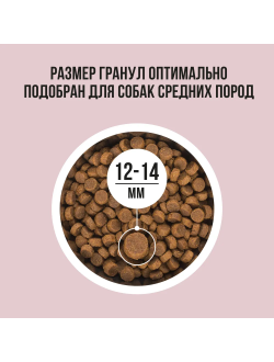 BOWL WOW (Боул Вау) корм сухой для собак средних пород Индейка, Рис, Яблоко, 2 кг